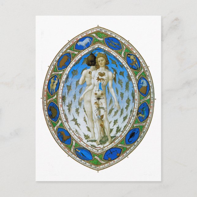 Cartão Postal Cartão-postal: Homem Anatômico (Frente)