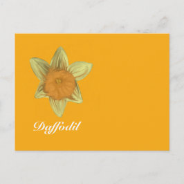 Cartão Postal Cartão-postal Horizontal Daffodil Laranja