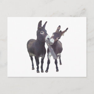 Cartão Postal Cartão-postal horizontal "Missy's Donkeys"