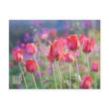 Cartão-postal Horizontal Tulips