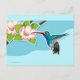 Cartão Postal Cartão-postal Hummingbird