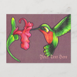 Cartão Postal Cartão-postal Hummingbird