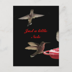 Cartão Postal Cartão-postal Hummingbird #ct98721 - personalizar