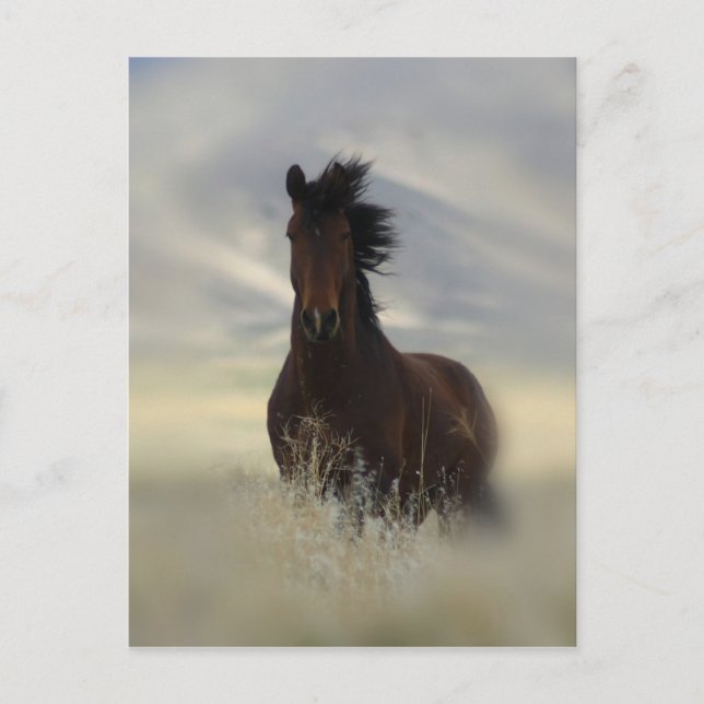 Cartão Postal Cartão-postal Icônico (Frente)