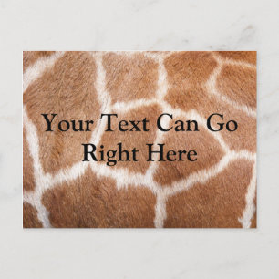 Cartão Postal Cartão-postal Impressão Giraffe
