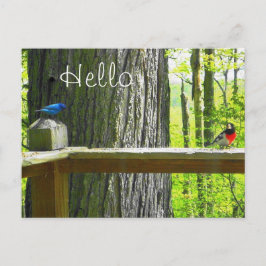 Cartão Postal Cartão-postal Indigo Bunting & Rosa Breast Grosbea