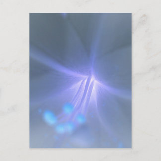 Cartão Postal Cartão-postal Inverter Lily