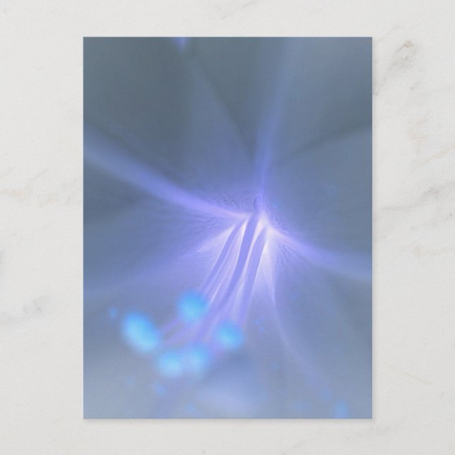 Cartão Postal Cartão-postal Inverter Lily (Frente)