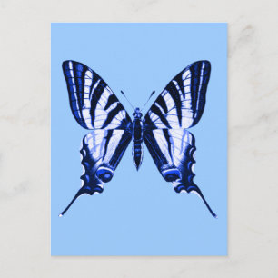 Cartão Postal Cartão-postal Iphiclides podalirius