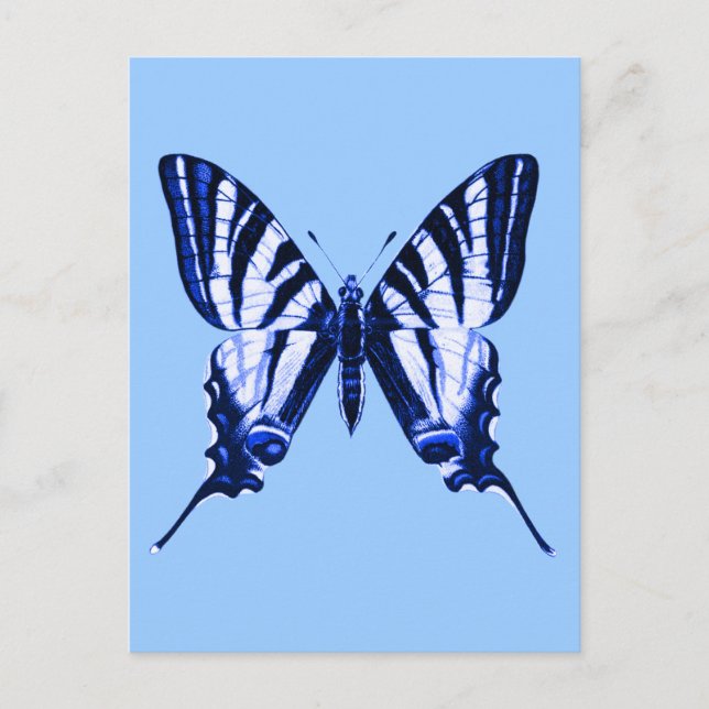 Cartão Postal Cartão-postal Iphiclides podalirius (Frente)