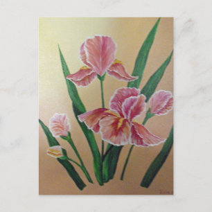 Cartão Postal Cartão-postal Iris