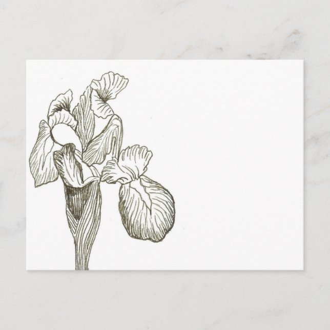 Cartão Postal Cartão-postal Iris Elegante (Frente)