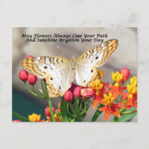 Cartão Postal Cartão-postal irlandês de bênção (Pavão Bran