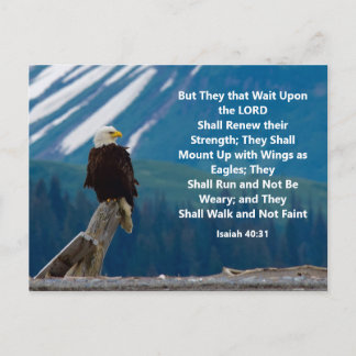 Cartão Postal Cartão-postal Isaiah 40:31 Montado em Eagle Wings