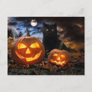 Cartão Postal Cartão-postal "Jack O' Lanterns & Jet"