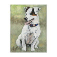Cartão-postal Jack Russell Terrier Dog Art