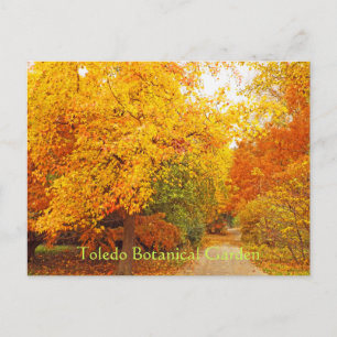 CARTÃO POSTAL CARTÃO-POSTAL/JARDIM BOTÂNICO DE TOLEDO/CAMINHO DE