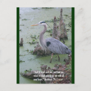 Cartão Postal Cartão-postal Jeremiah 29:13