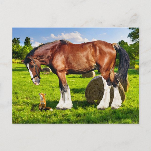 Cartão Postal Cartão-postal "Justin e um Amigo" (Frente)