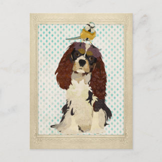 Cartão Postal Cartão-postal King Cavalier e Little Bird