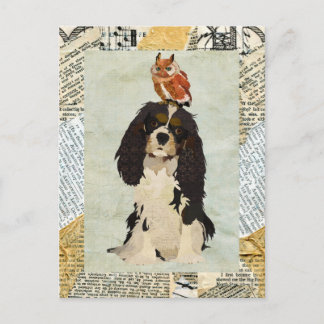 Cartão Postal Cartão-postal King Cavalier & Owl