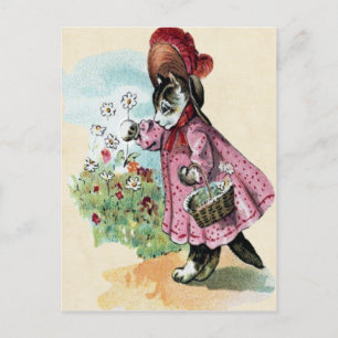 Cartão Postal Cartão-postal Kitten