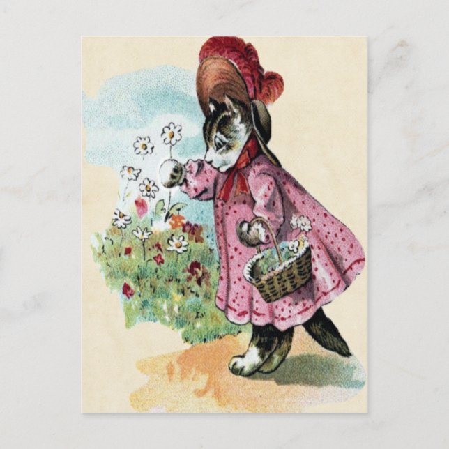 Cartão Postal Cartão-postal Kitten (Frente)