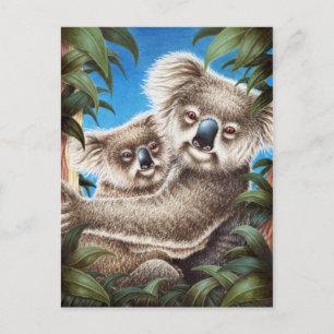 Cartão Postal Cartão-postal Koala e Baby