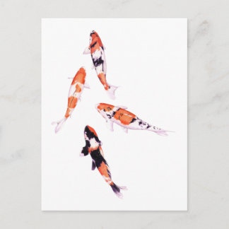 Cartão Postal Cartão-postal Koi flutuante