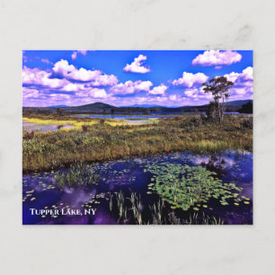 Cartão Postal Cartão-postal - Lago Superior NY