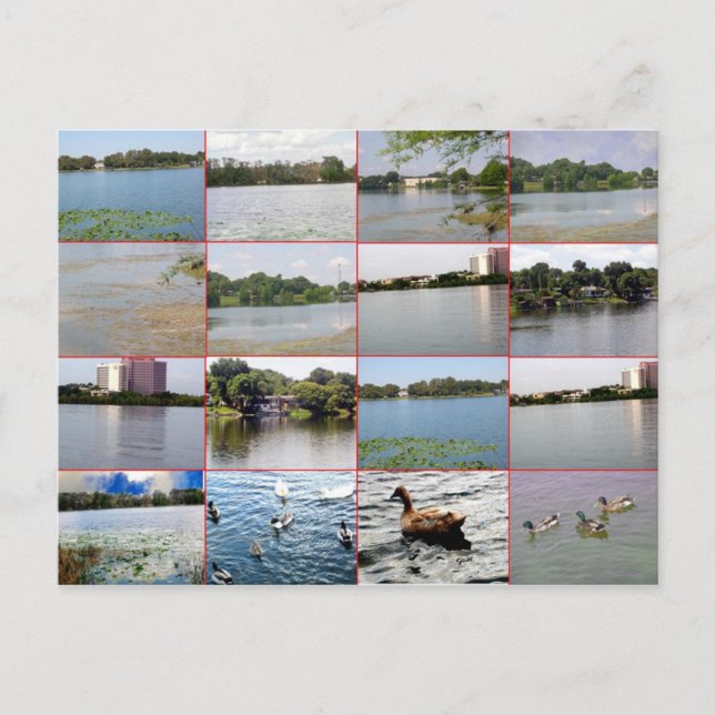 Cartão Postal Cartão-postal Lake Collage (Frente)