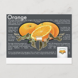 Cartão Postal Cartão-postal Laranja