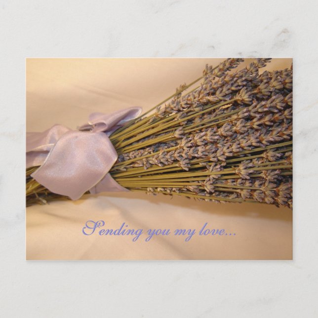 Cartão Postal Cartão-postal Lavendar (Frente)