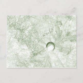 Cartão Postal Cartão-postal LiDAR