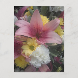 Cartão Postal Cartão-postal Lily Beauty Rosa