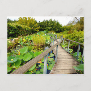Cartão Postal Cartão-postal Lily Pond