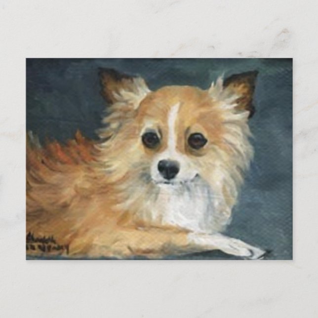 Cartão Postal Cartão-postal "Longhaired Chihuahua" (Frente)