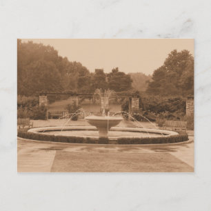 Cartão Postal Cartão-postal Loose Park