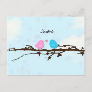 Cartão Postal Cartão-postal Lovebird
