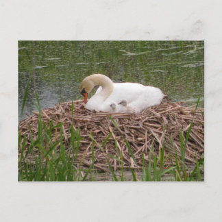 Cartão Postal Cartão-postal Mama e Pequenas (2)