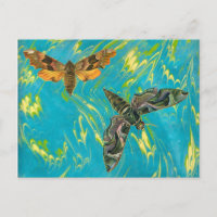 Cartão-postal Marbled Moth