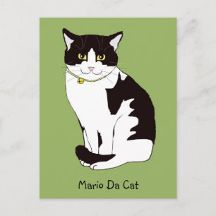 Cartão Postal Cartão-postal Mario Da Cat