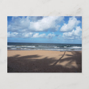 Cartão Postal Cartão-postal Mayaro Beach Shadows of Coconut Tre