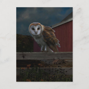 Cartão Postal Cartão-postal "McHoots the Watch Owl"