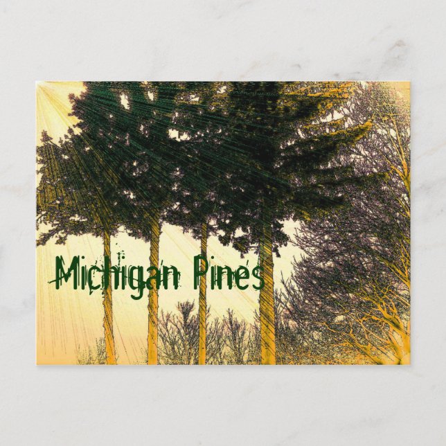 Cartão Postal Cartão-postal Michigan Pines (Frente)