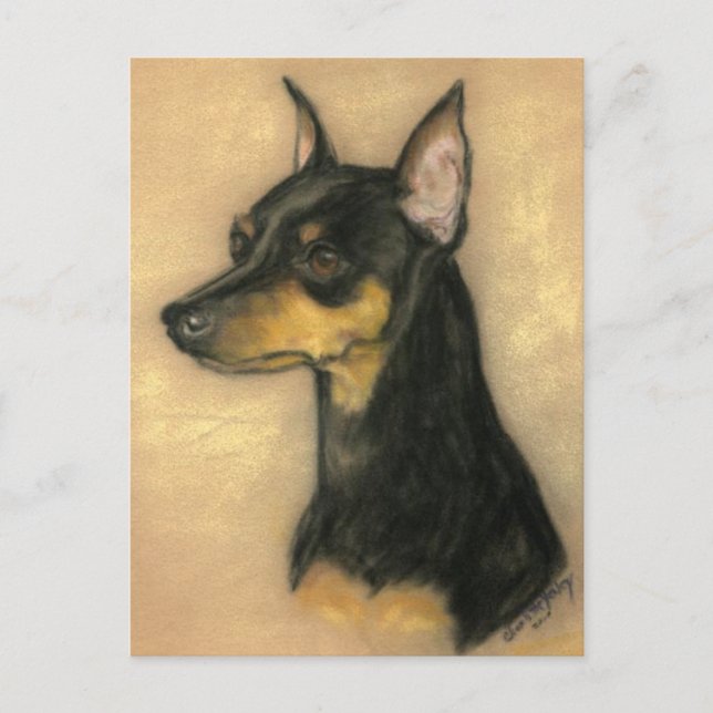 Cartão Postal Cartão-postal Miniatura Pinscher Cachorro (Frente)