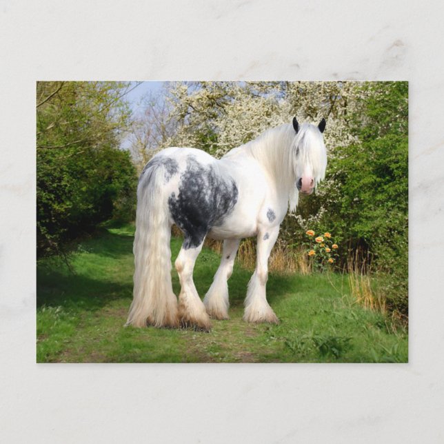 Cartão Postal Cartão-postal "Mirabeau" (Frente)