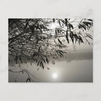 Cartão Postal Cartão-postal Mist e Shadow