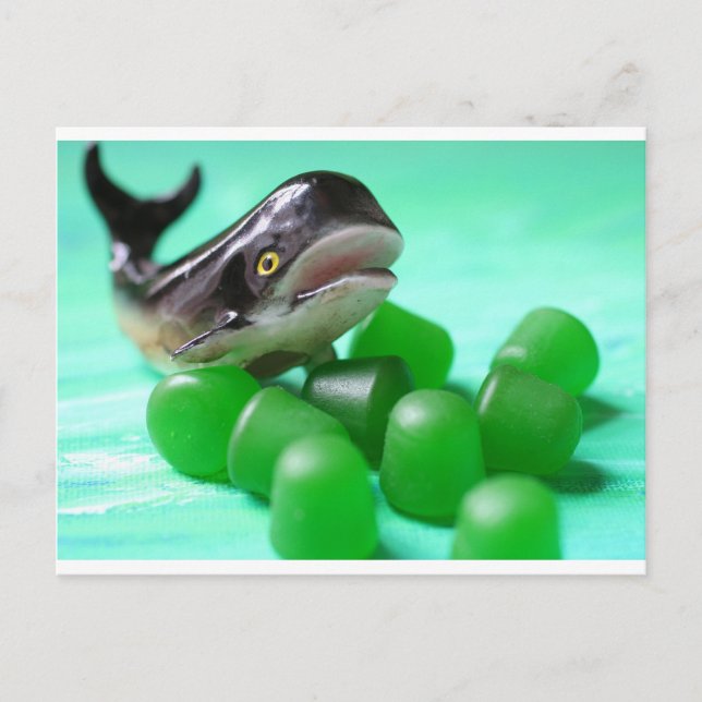 Cartão Postal Cartão-postal Misturado Estranho (Frente)