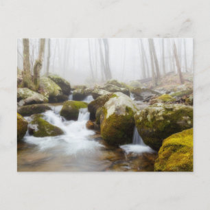 Cartão Postal Cartão-postal Misty Rocky Stream
